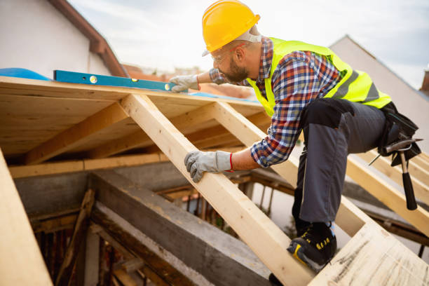 Best Roof Gutter Cleaning  in Chevy Chase Village, MD